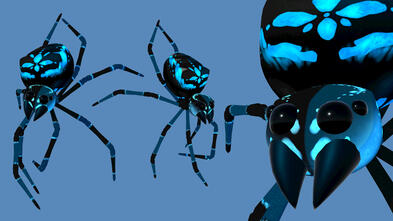 Aara spider model